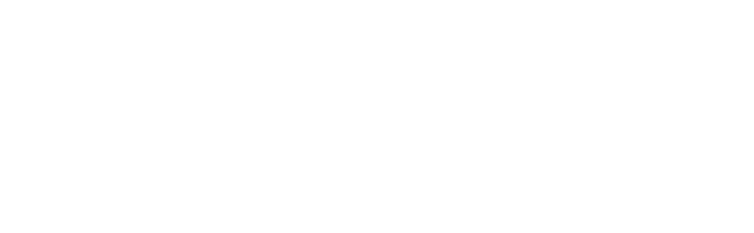 DartFrog Studio Creative Agency